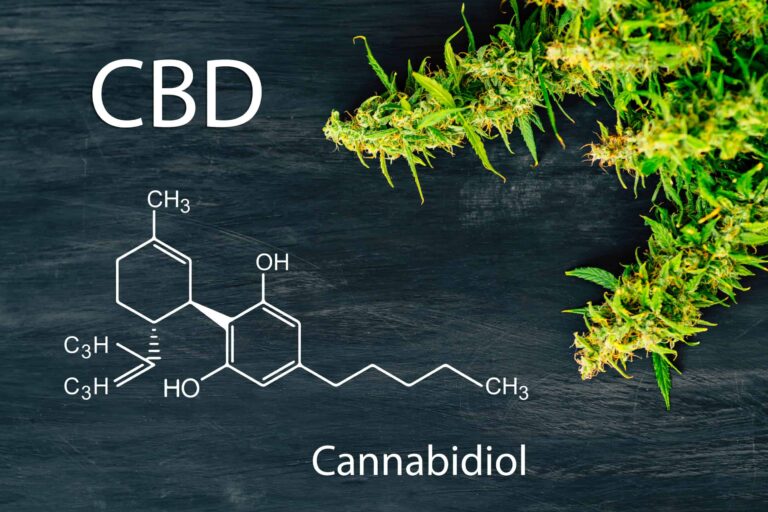 WHAT IS CBD OIL? A QUICK CBD GUIDE FOR 2020